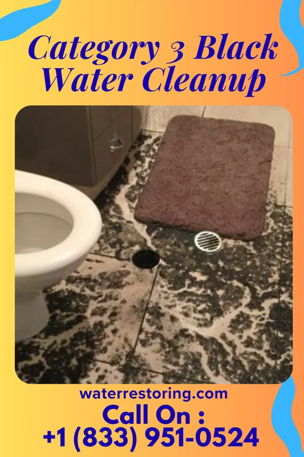 Category 3 Black Water Cleanup in Homestown, MO