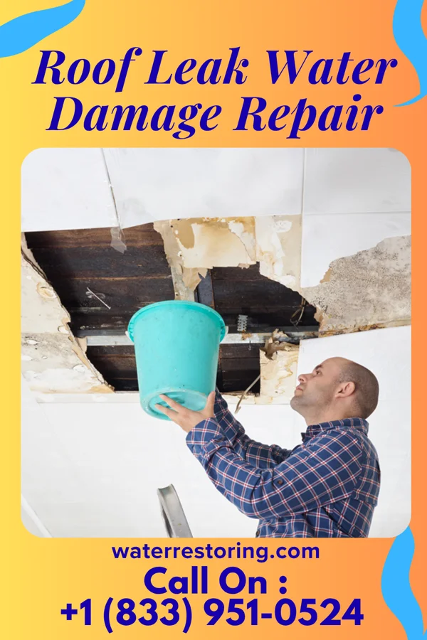 Roof Leak Water Damage Repair in Homestown, MO