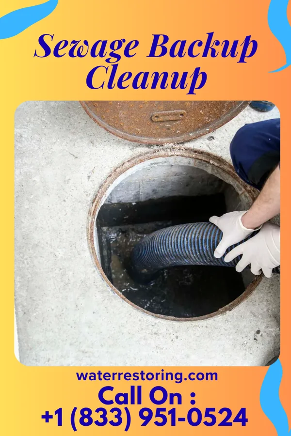 Sewage Backup Cleanup in Homestown, MO